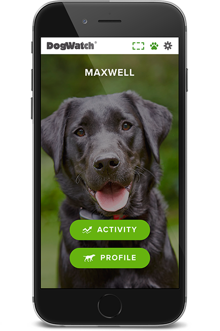 DogWatch of Northern Kentucky, Park Hills, Kentucky | SmartFence WebApp Image